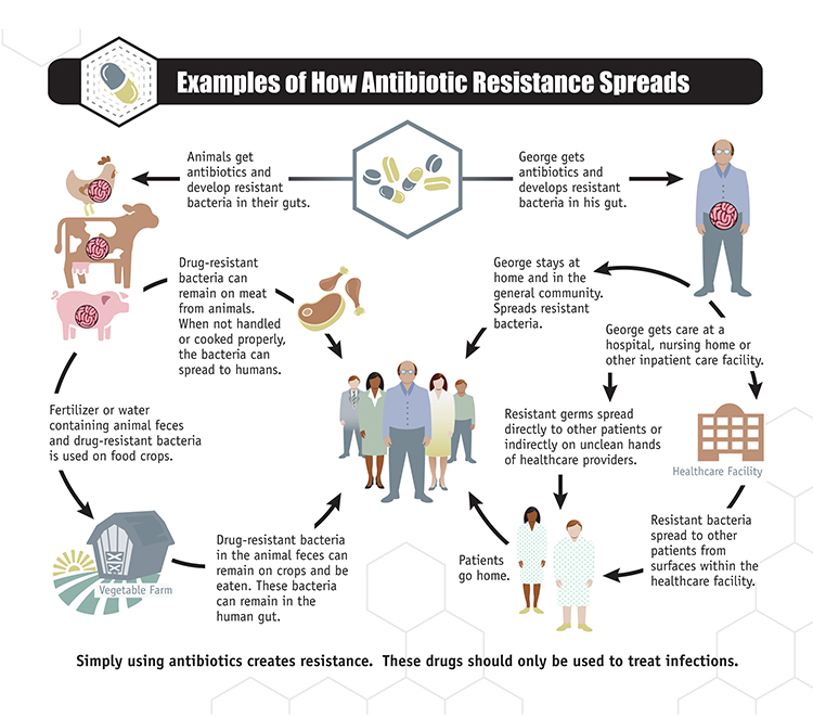 antibiotic-resistance